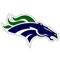 South County Stallions